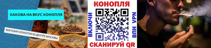 Canna-Cookies конопля Сосновый Бор